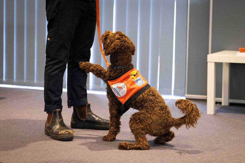 Community visits dog trainer - Lions Assistance Dogs