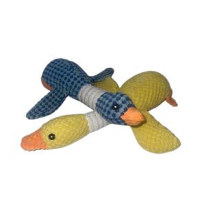 Lions Assistance Dogs blue and yellow duck dog toys