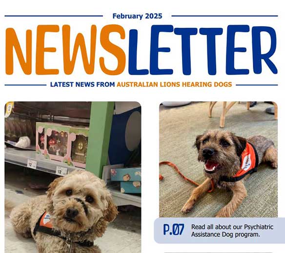 February 2025 newsletter tile