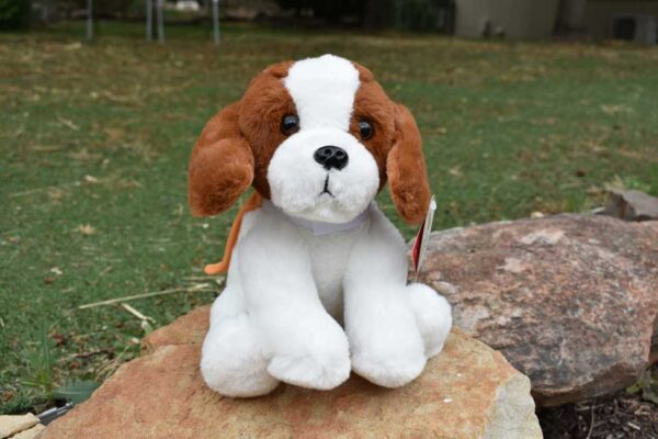 Lions Assistance dog - brown and white