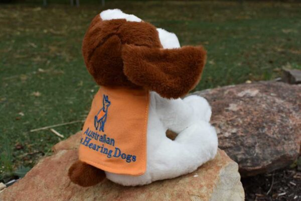 Lions Assistance dog -brown and white
