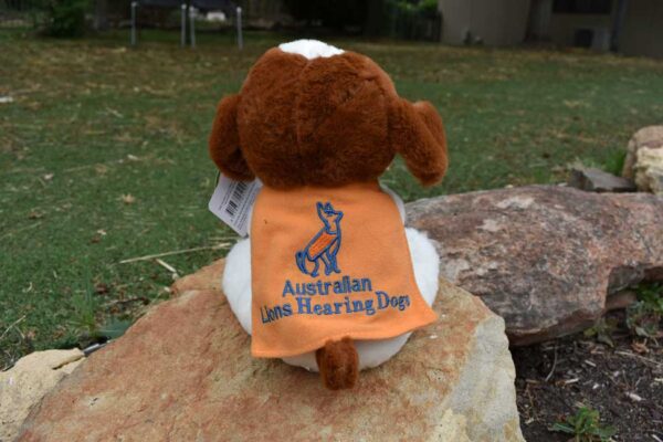 Lions Assistance dog