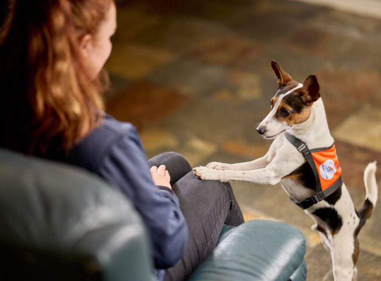 Hearing Assistance Dogs – Lions Assistance Dogs