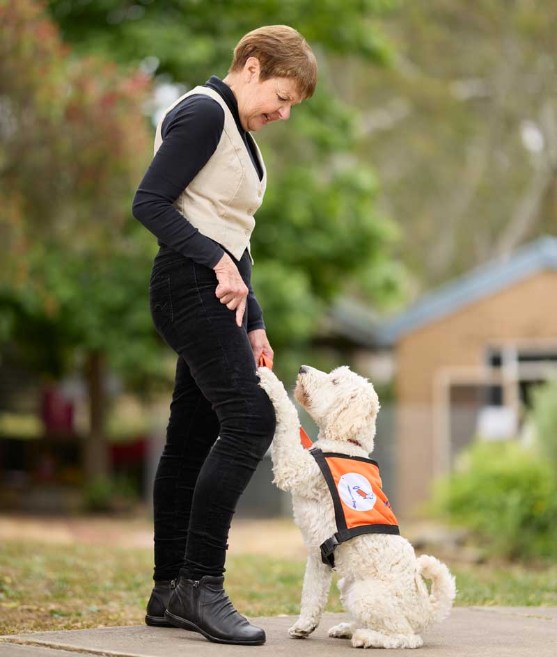 Lions Hearing Dogs - Lions Assistance Dogs