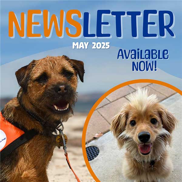 May 2025 newsletter tile