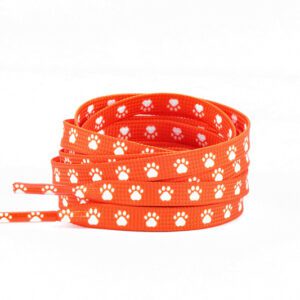 Lions Hearing Dogs shoelaces for National Hearing Dog Day