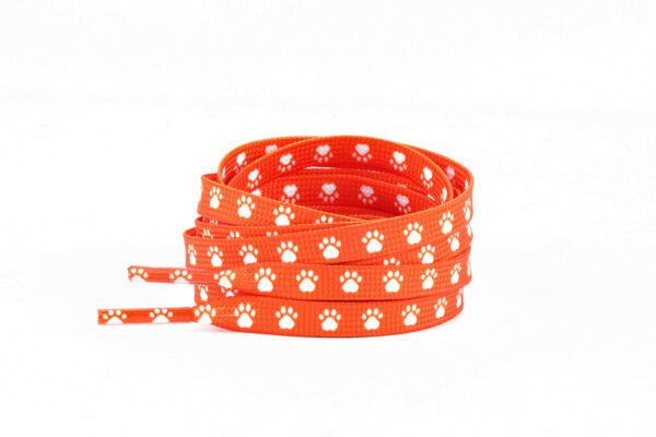 Lions Hearing Dogs shoelaces for National Hearing Dog Day