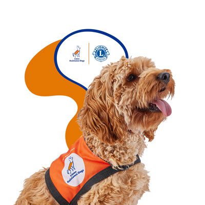 Lions Assistance Dogs - Resource social media profile