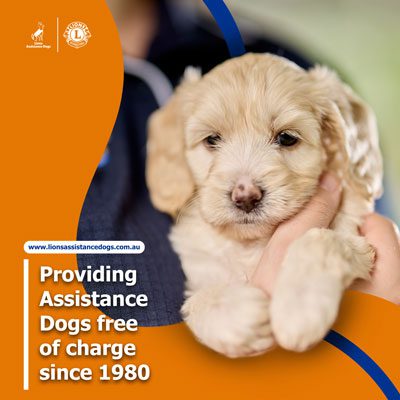 Resource instagram post - Lions Assistance Dogs