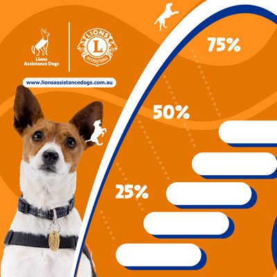 Lions Assistance Dogs - Resource tracker