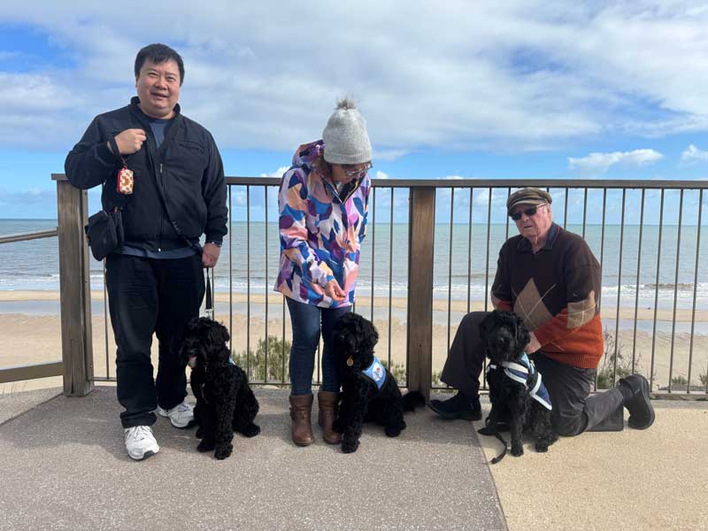 Volunteer guardians - Lions Assistance Dogs