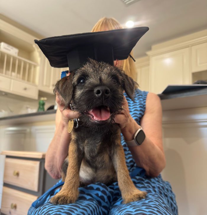 Volunteer with puppy and graduation - Lions Assistance Dogs