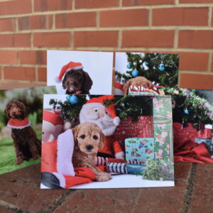 Christmas Cards