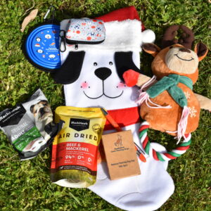 Christmas Dog Stockings