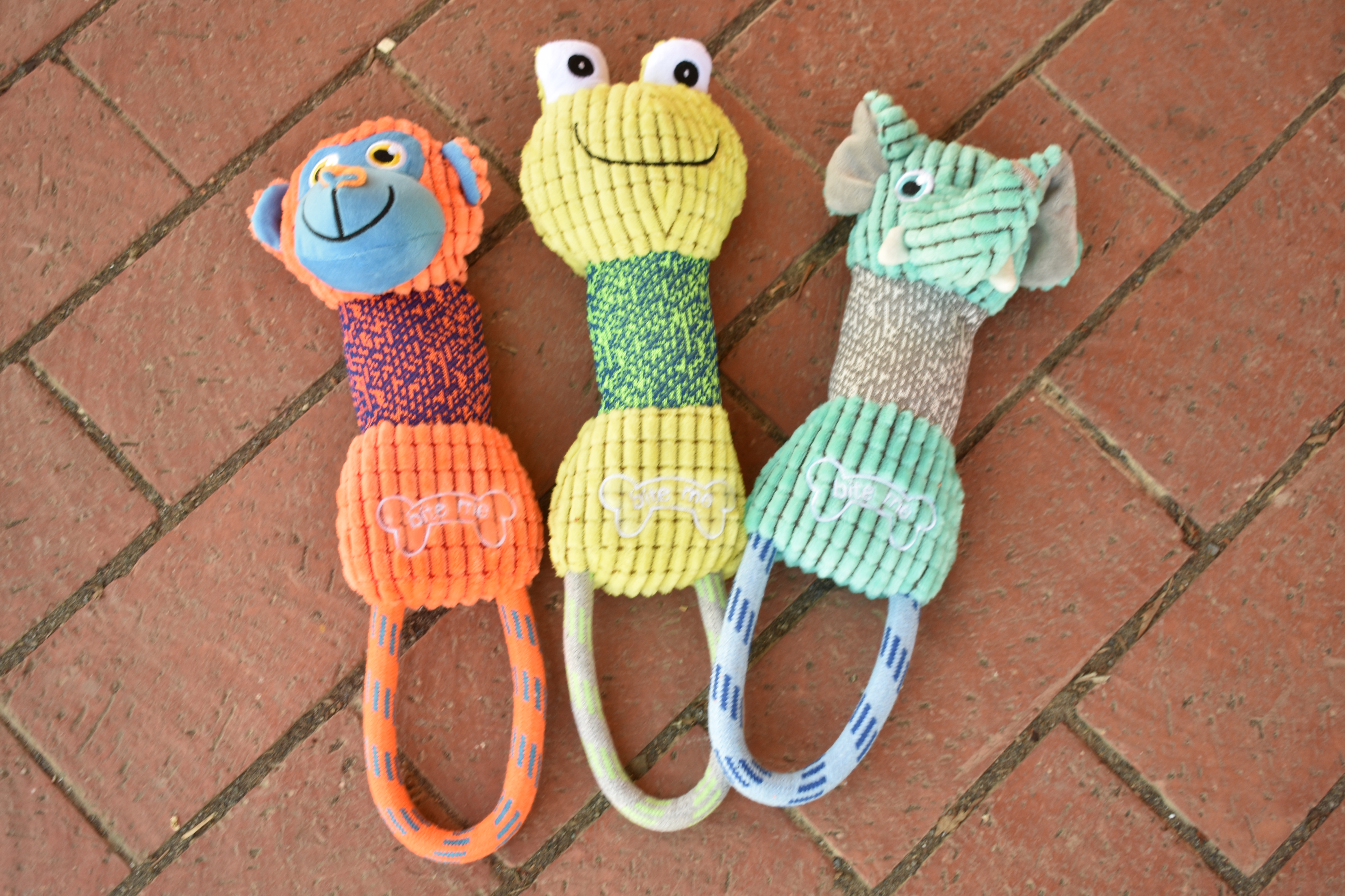 * New Dog Toy - Assorted Design