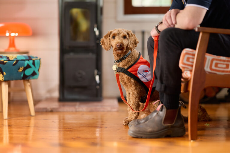 Hearing Dogs - October 2025 15
