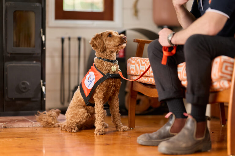 Hearing Dogs - October 2025 19